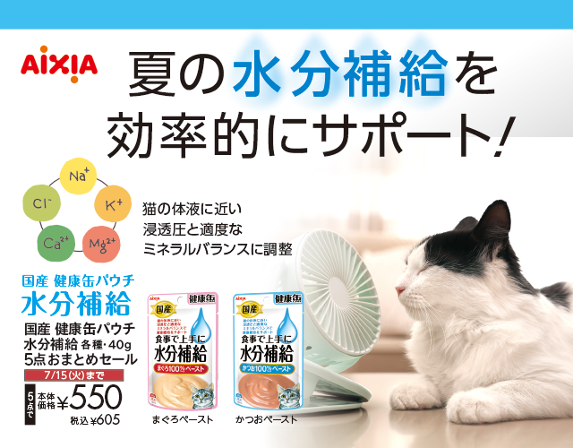 アイシア